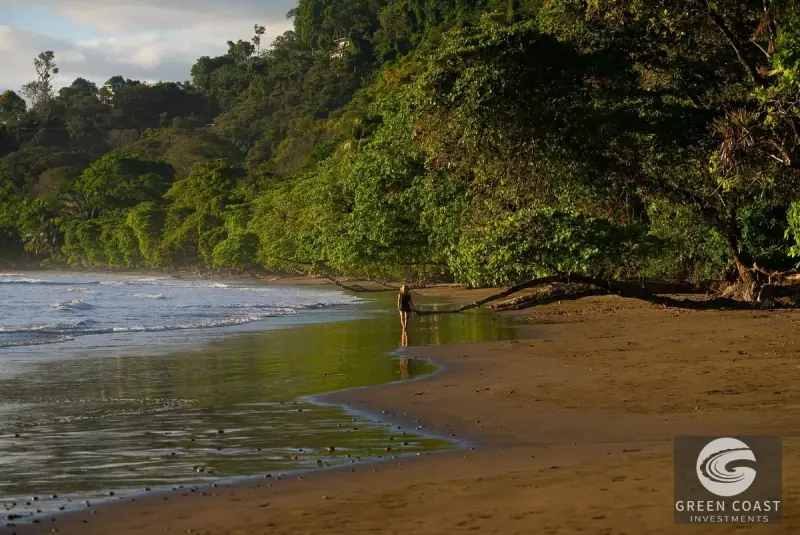 5-Acre Dominicalito Hills Ocean View Estate: Luxury Development Land with Natural Waterfall — view 64, Dominicalito, Osa, Costa Rica