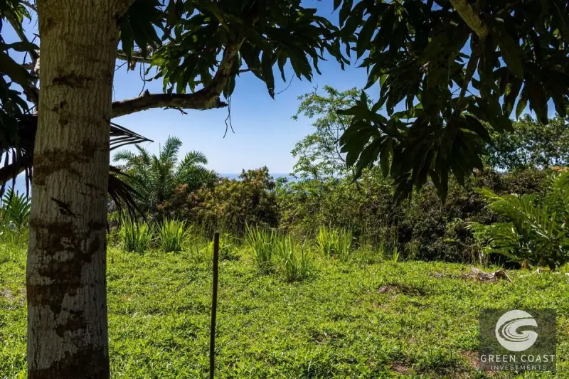 5-Acre Dominicalito Hills Ocean View Estate: Luxury Development Land with Natural Waterfall — view 78, Dominicalito, Osa, Costa Rica