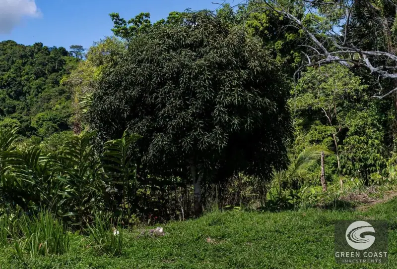 5-Acre Dominicalito Hills Ocean View Estate: Luxury Development Land with Natural Waterfall — view 80, Dominicalito, Osa, Costa Rica