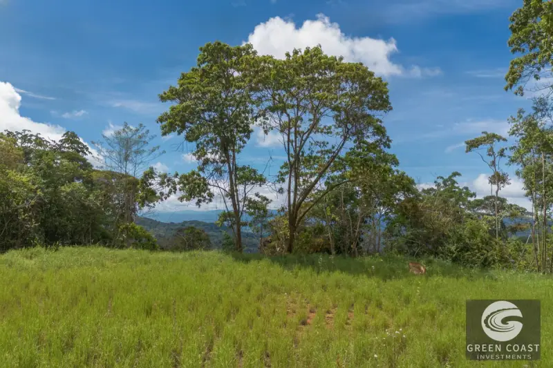 33-Acre San Ramón Norte Development Land with Modern Home & Stunning Waterfall Views — view 11, San Ramón Norte, Pérez Zeledón, Costa Rica