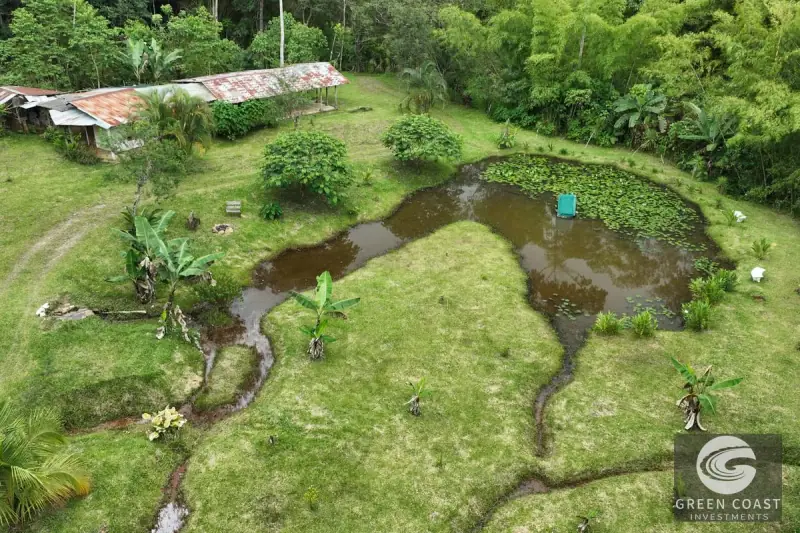 San Vito Luxury Mountain Springs Estate: 21-Acre Private Forest Sanctuary with Turnkey Home — view 8, San Vito, Coto Brus, Costa Rica