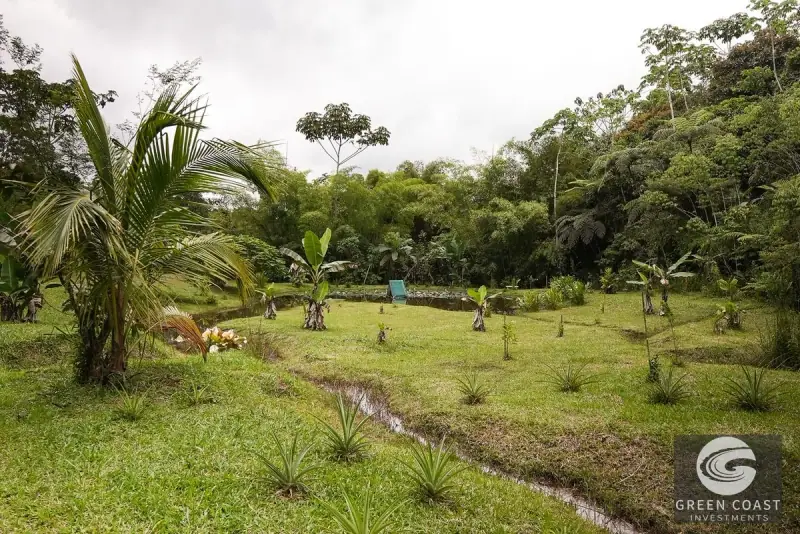 San Vito Luxury Mountain Springs Estate: 21-Acre Private Forest Sanctuary with Turnkey Home — view 9, San Vito, Coto Brus, Costa Rica