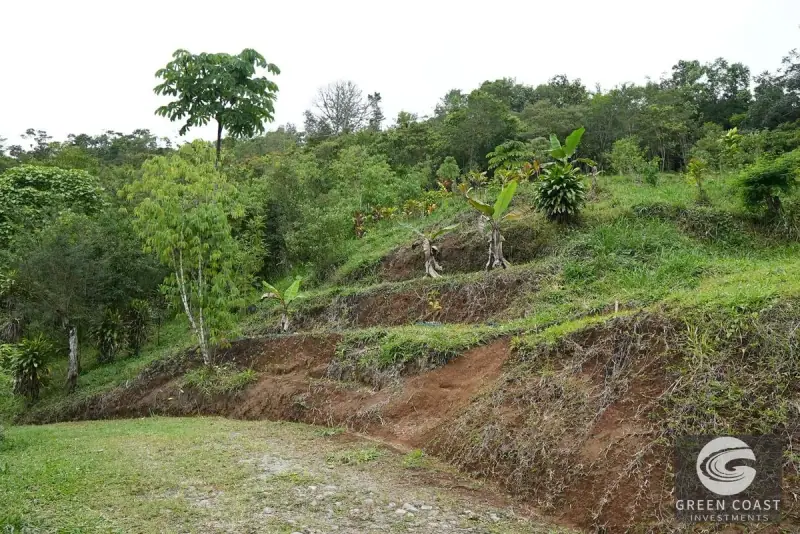 San Vito Luxury Mountain Springs Estate: 21-Acre Private Forest Sanctuary with Turnkey Home — view 13, San Vito, Coto Brus, Costa Rica