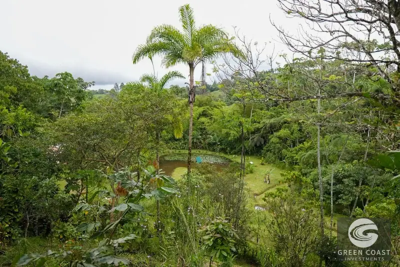 San Vito Luxury Mountain Springs Estate: 21-Acre Private Forest Sanctuary with Turnkey Home — view 18, San Vito, Coto Brus, Costa Rica