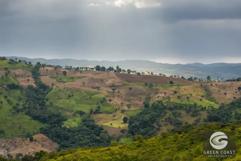 San Vito Luxury Mountain Springs Estate: 21-Acre Private Forest Sanctuary with Turnkey Home — view 32, San Vito, Coto Brus, Costa Rica