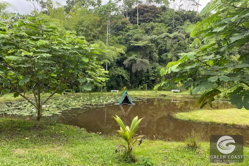 San Vito Luxury Mountain Springs Estate: 21-Acre Private Forest Sanctuary with Turnkey Home — view 37, San Vito, Coto Brus, Costa Rica