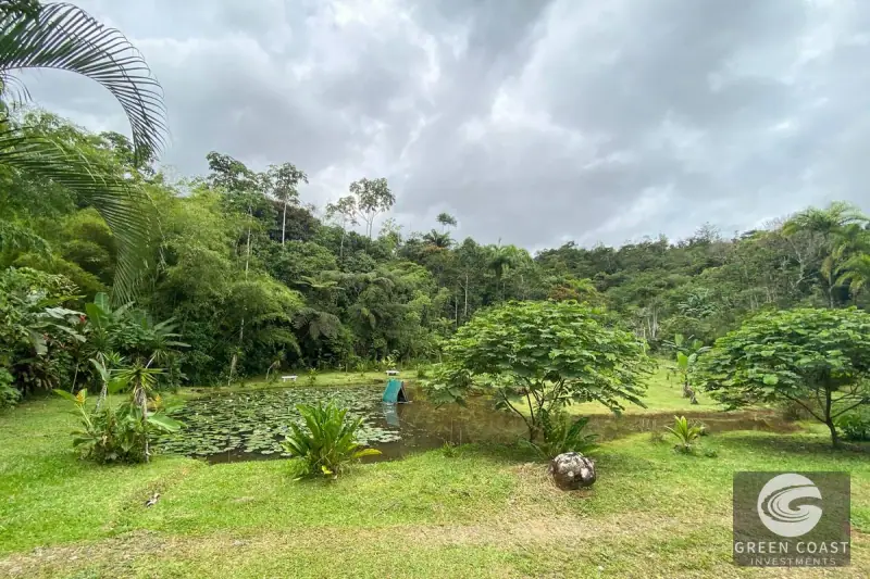San Vito Luxury Mountain Springs Estate: 21-Acre Private Forest Sanctuary with Turnkey Home — view 38, San Vito, Coto Brus, Costa Rica