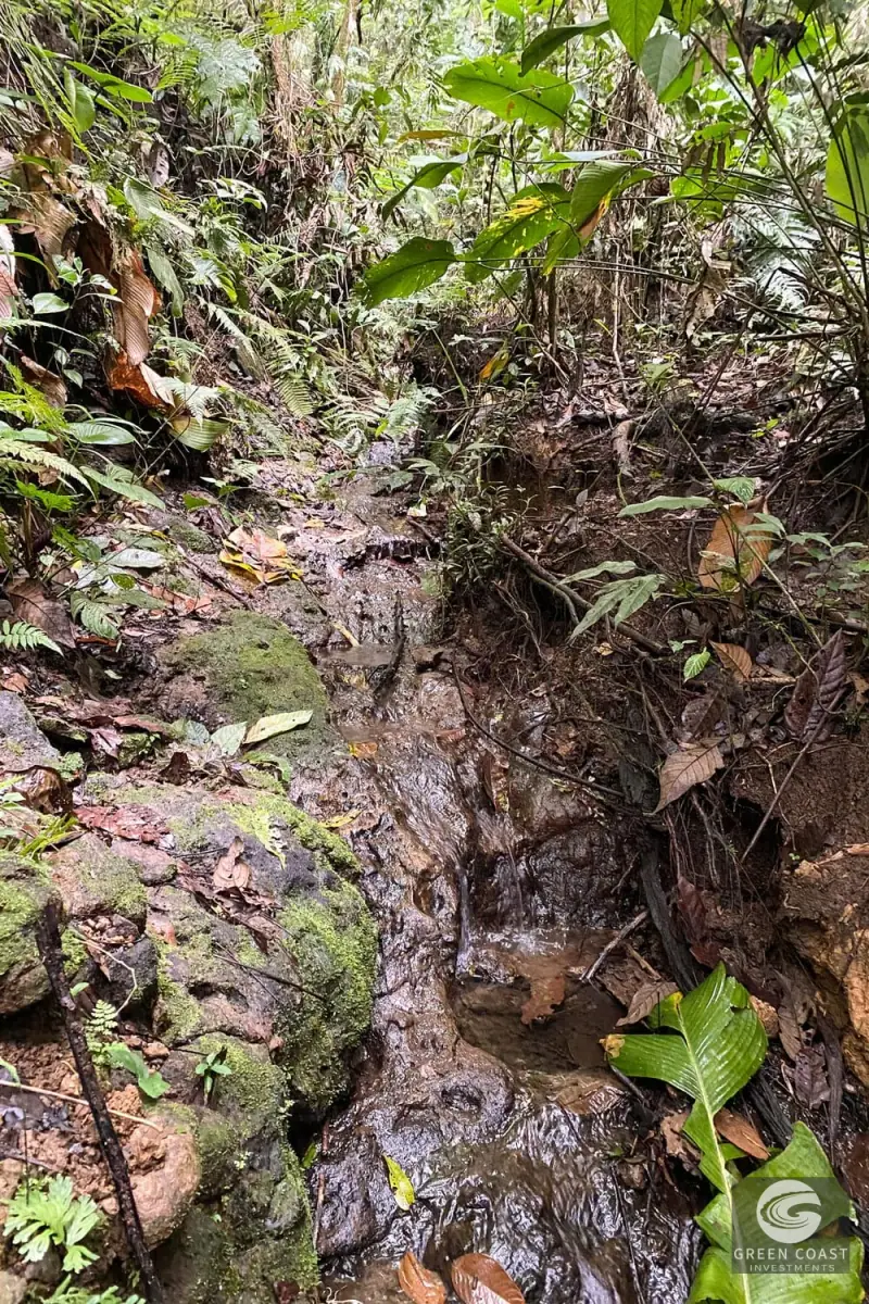 San Vito Luxury Mountain Springs Estate: 21-Acre Private Forest Sanctuary with Turnkey Home — view 45, San Vito, Coto Brus, Costa Rica