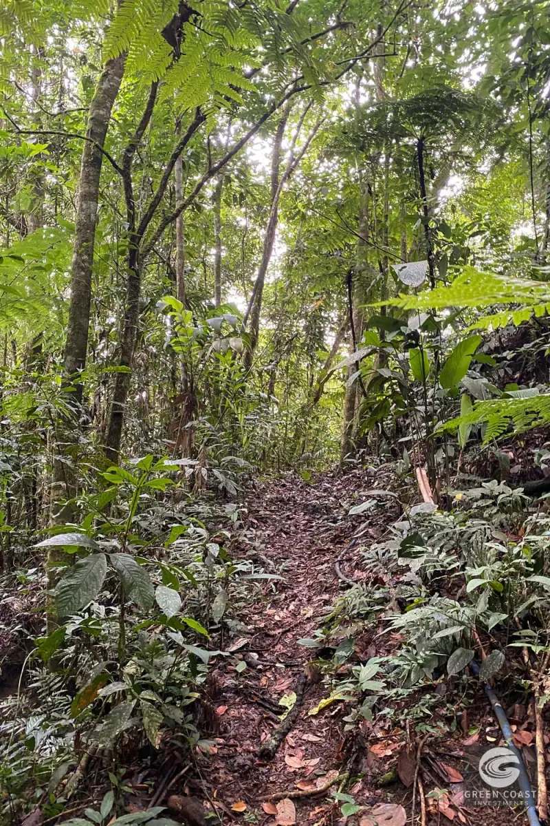 San Vito Luxury Mountain Springs Estate: 21-Acre Private Forest Sanctuary with Turnkey Home — view 46, San Vito, Coto Brus, Costa Rica