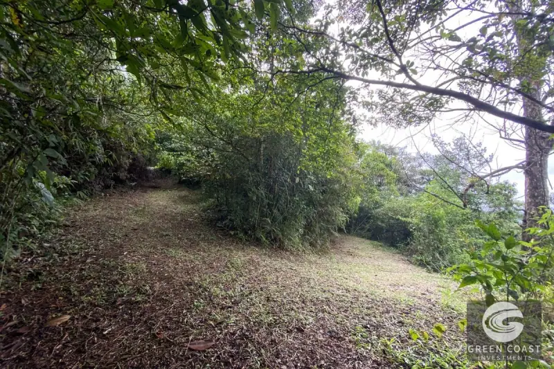 San Vito Luxury Mountain Springs Estate: 21-Acre Private Forest Sanctuary with Turnkey Home — view 47, San Vito, Coto Brus, Costa Rica