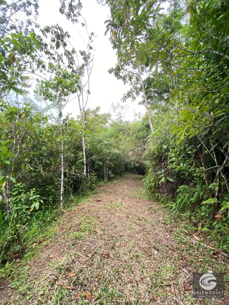 San Vito Luxury Mountain Springs Estate: 21-Acre Private Forest Sanctuary with Turnkey Home — view 48, San Vito, Coto Brus, Costa Rica
