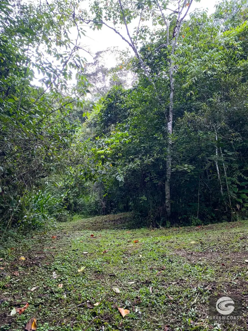 San Vito Luxury Mountain Springs Estate: 21-Acre Private Forest Sanctuary with Turnkey Home — view 49, San Vito, Coto Brus, Costa Rica