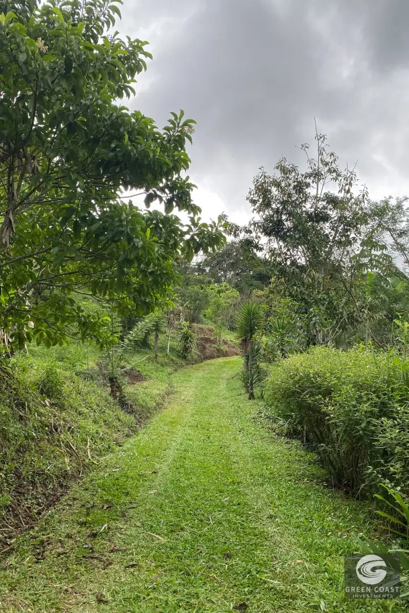 San Vito Luxury Mountain Springs Estate: 21-Acre Private Forest Sanctuary with Turnkey Home — view 51, San Vito, Coto Brus, Costa Rica
