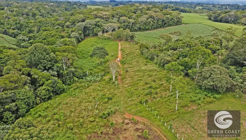 8-Hectare Fertile Farm Near San Isidro with River Access and Stunning Chirripó Views — view 3, San Isidro de El General, Pérez Zeledón, Costa Rica