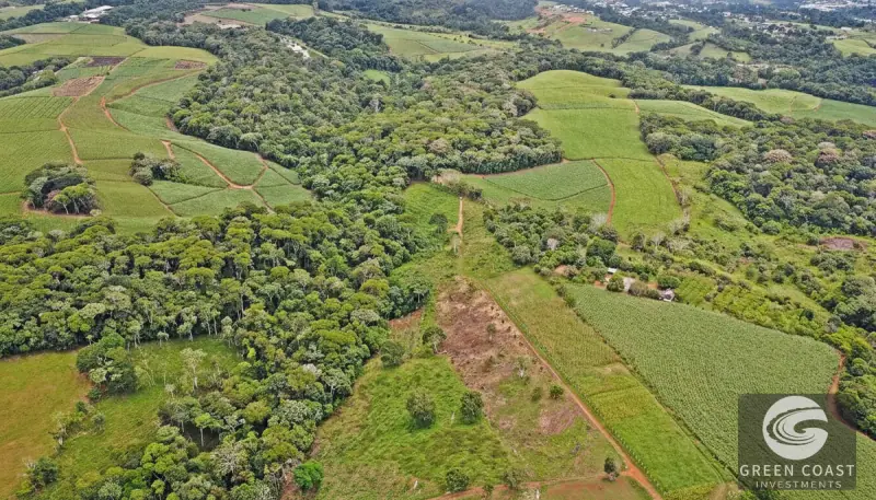 8-Hectare Fertile Farm Near San Isidro with River Access and Stunning Chirripó Views — view 6, San Isidro de El General, Pérez Zeledón, Costa Rica