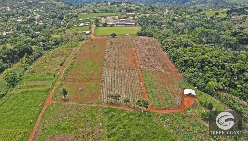 8-Hectare Fertile Farm Near San Isidro with River Access and Stunning Chirripó Views — view 9, San Isidro de El General, Pérez Zeledón, Costa Rica