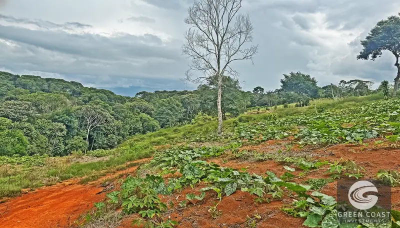 8-Hectare Fertile Farm Near San Isidro with River Access and Stunning Chirripó Views — view 10, San Isidro de El General, Pérez Zeledón, Costa Rica