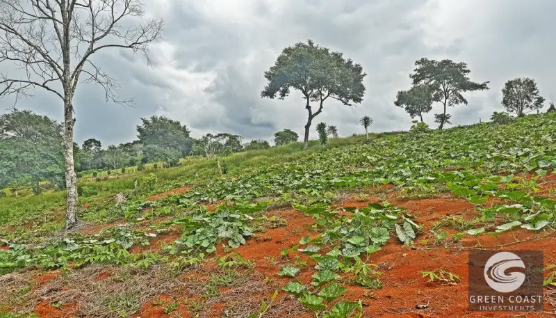 8-Hectare Fertile Farm Near San Isidro with River Access and Stunning Chirripó Views — view 11, San Isidro de El General, Pérez Zeledón, Costa Rica