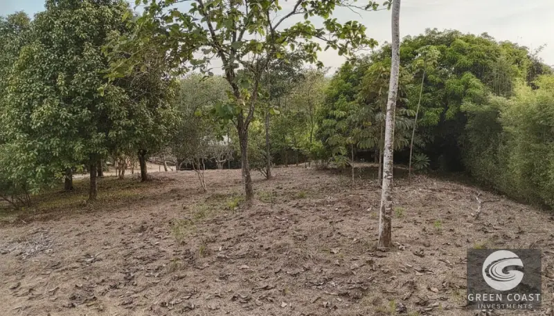 Prime Triple Lot Estate in Uvita: Walk to Waterfalls & Dining with Luxury Development Potential — view 5, Uvita, Osa, Costa Rica