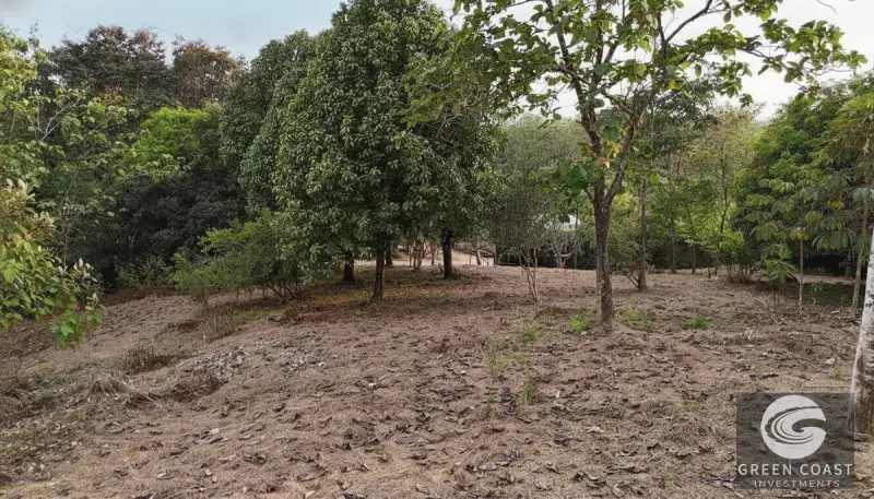 Prime Triple Lot Estate in Uvita: Walk to Waterfalls & Dining with Luxury Development Potential — view 6, Uvita, Osa, Costa Rica