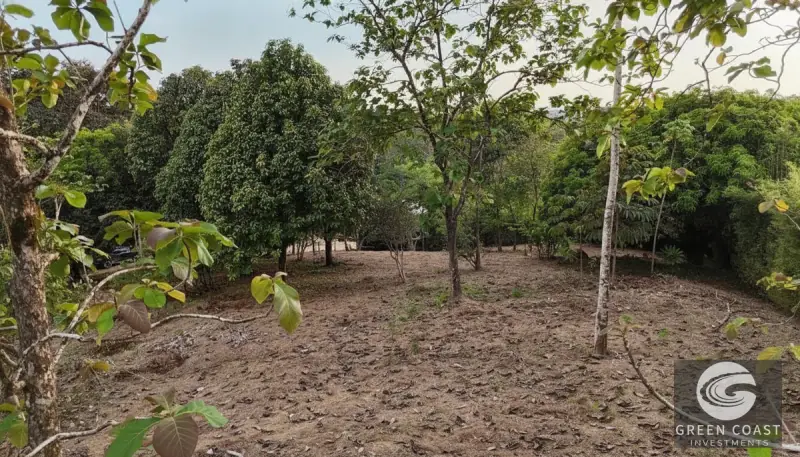 Prime Triple Lot Estate in Uvita: Walk to Waterfalls & Dining with Luxury Development Potential — view 8, Uvita, Osa, Costa Rica