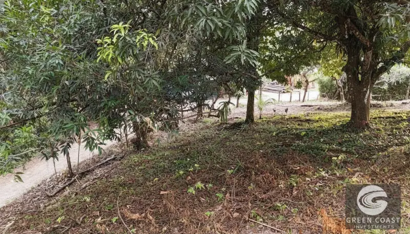Prime Triple Lot Estate in Uvita: Walk to Waterfalls & Dining with Luxury Development Potential — view 15, Uvita, Osa, Costa Rica