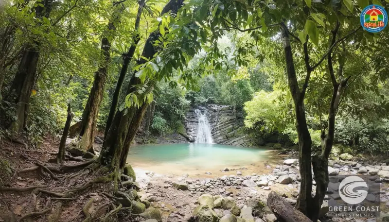 Dominicalito Bay Tropical Home & Studio Walk to Beach & Waterfall — view 2, Osa, Costa Rica