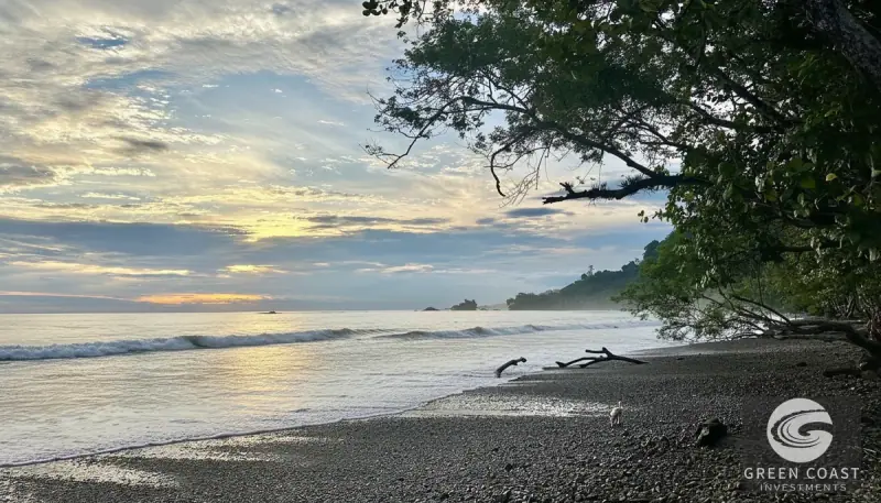 Dominicalito Bay Tropical Home & Studio Walk to Beach & Waterfall — view 4, Osa, Costa Rica