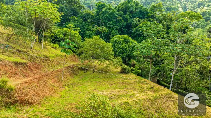 1.23-Acre Ocean View Sanctuary in Dominical-Uvita — Build-Ready Sites Bordering Nature Reserve — view 7, Savegre, Aguirre, Costa Rica