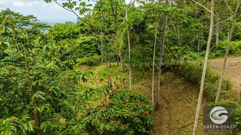 1.23-Acre Ocean View Sanctuary in Dominical-Uvita — Build-Ready Sites Bordering Nature Reserve — view 12, Savegre, Aguirre, Costa Rica
