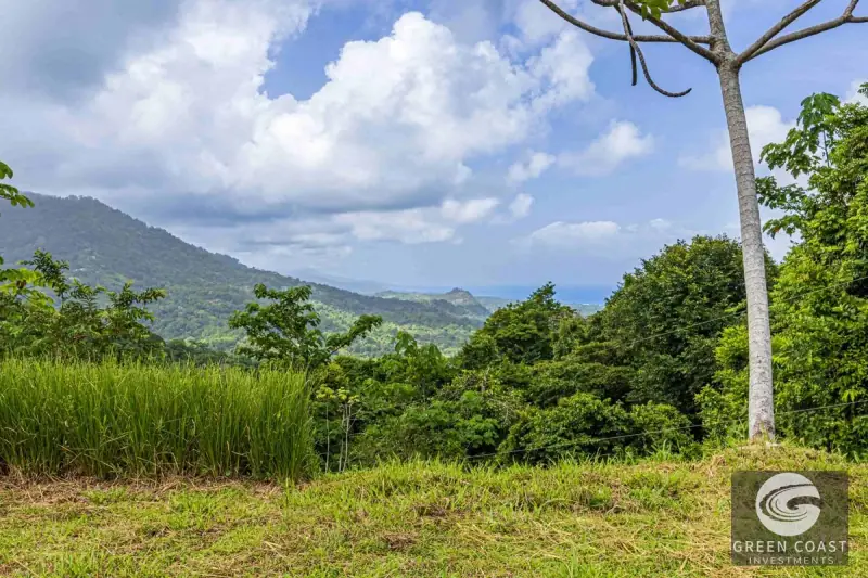 1.23-Acre Ocean View Sanctuary in Dominical-Uvita — Build-Ready Sites Bordering Nature Reserve — view 17, Savegre, Aguirre, Costa Rica
