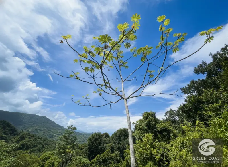 1.23-Acre Ocean View Sanctuary in Dominical-Uvita — Build-Ready Sites Bordering Nature Reserve — view 32, Savegre, Aguirre, Costa Rica