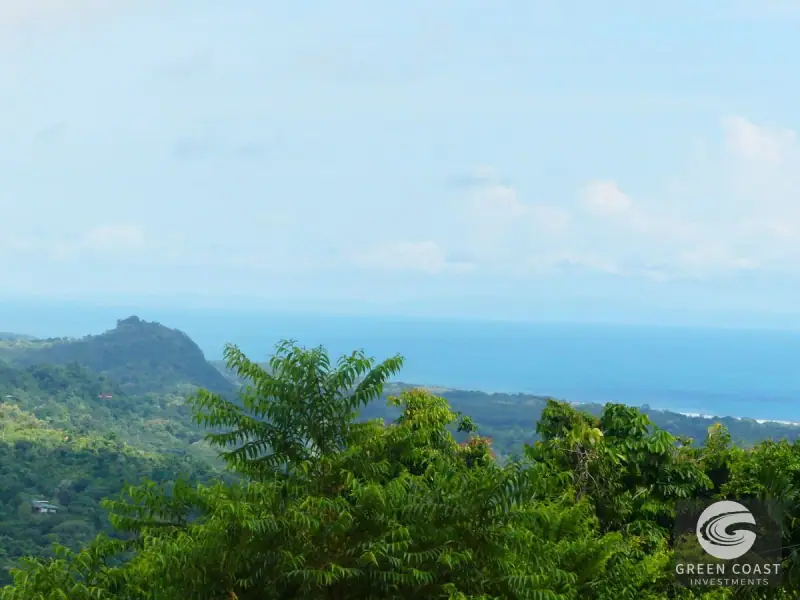 1.23-Acre Ocean View Sanctuary in Dominical-Uvita — Build-Ready Sites Bordering Nature Reserve — view 37, Savegre, Aguirre, Costa Rica