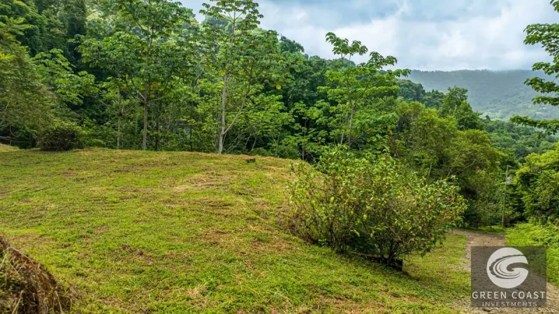 1.23-Acre Ocean View Sanctuary in Dominical-Uvita — Build-Ready Sites Bordering Nature Reserve — view 47, Savegre, Aguirre, Costa Rica