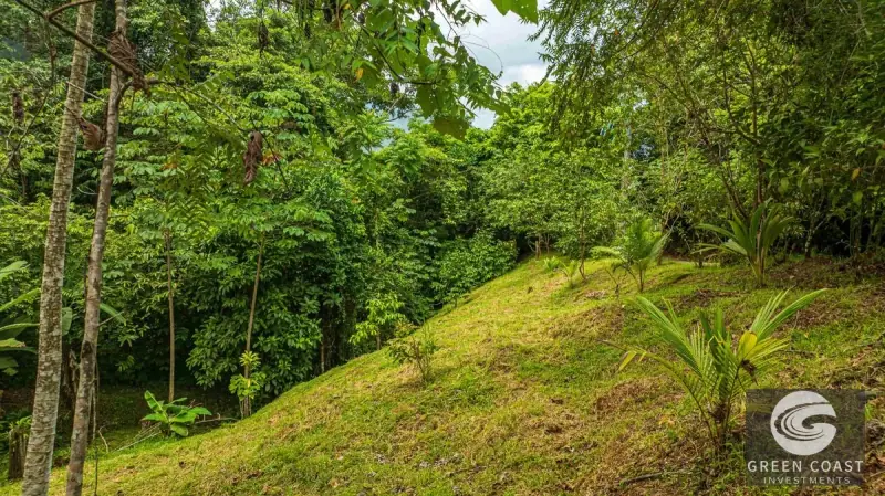 1.23-Acre Ocean View Sanctuary in Dominical-Uvita — Build-Ready Sites Bordering Nature Reserve — view 52, Savegre, Aguirre, Costa Rica