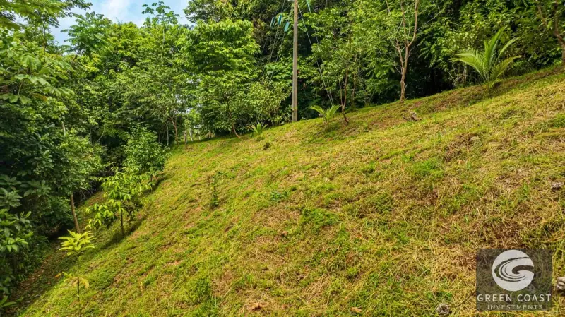 1.23-Acre Ocean View Sanctuary in Dominical-Uvita — Build-Ready Sites Bordering Nature Reserve — view 53, Savegre, Aguirre, Costa Rica
