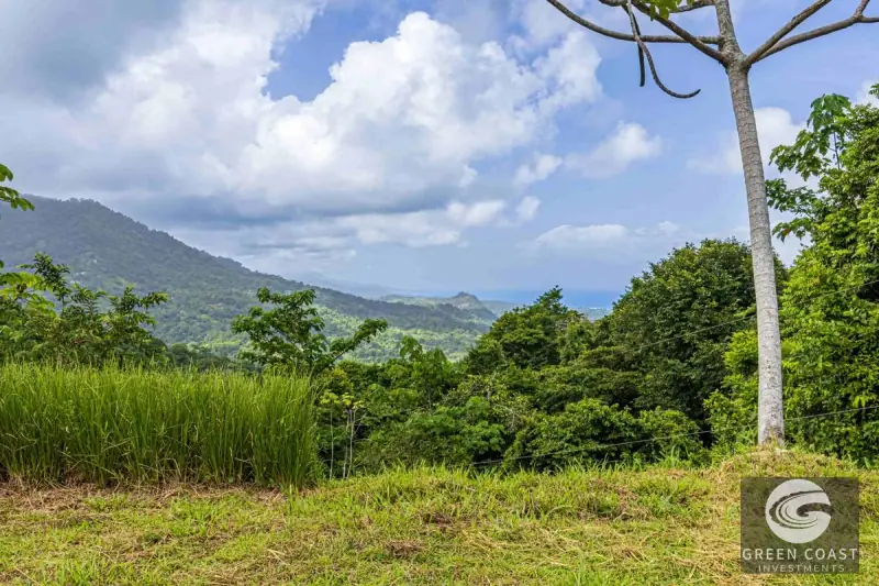 1.23-Acre Ocean View Sanctuary in Dominical-Uvita — Build-Ready Sites Bordering Nature Reserve — view 56, Savegre, Aguirre, Costa Rica