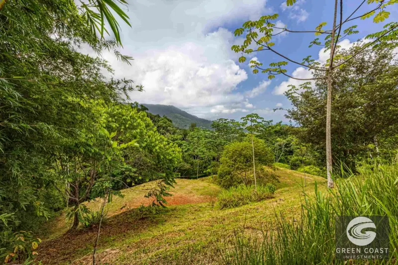 1.23-Acre Ocean View Sanctuary in Dominical-Uvita — Build-Ready Sites Bordering Nature Reserve — view 59, Savegre, Aguirre, Costa Rica