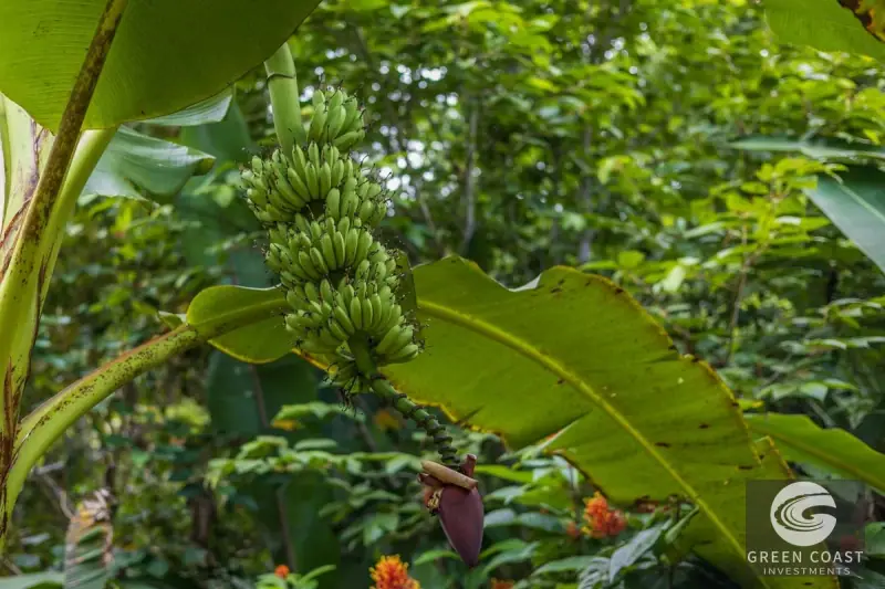 1.23-Acre Ocean View Sanctuary in Dominical-Uvita — Build-Ready Sites Bordering Nature Reserve — view 61, Savegre, Aguirre, Costa Rica