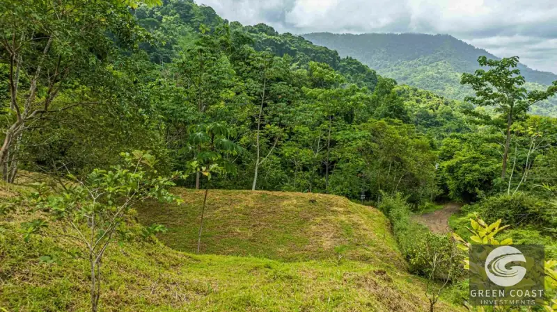 1.23-Acre Ocean View Sanctuary in Dominical-Uvita — Build-Ready Sites Bordering Nature Reserve — view 68, Savegre, Aguirre, Costa Rica