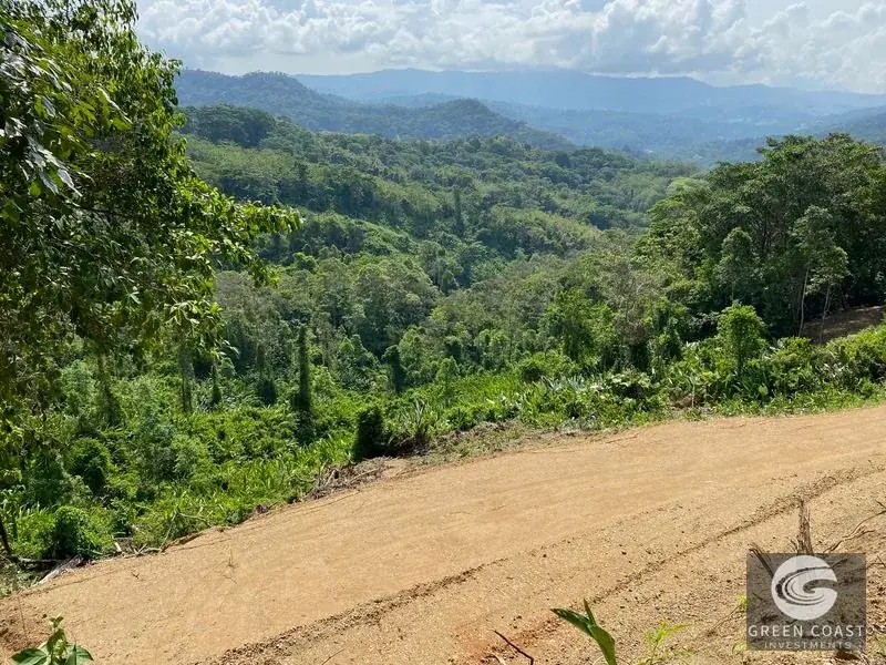 15-Acre Lagunas Estate: 7 Subdivided Lots with Waterfalls, Valley Views, and Fruit Orchards Near Dominical — view 2, Dominical, Costa Rica