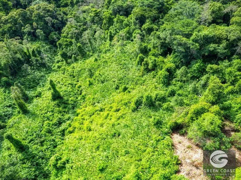 15-Acre Lagunas Estate: 7 Subdivided Lots with Waterfalls, Valley Views, and Fruit Orchards Near Dominical — view 6, Dominical, Costa Rica