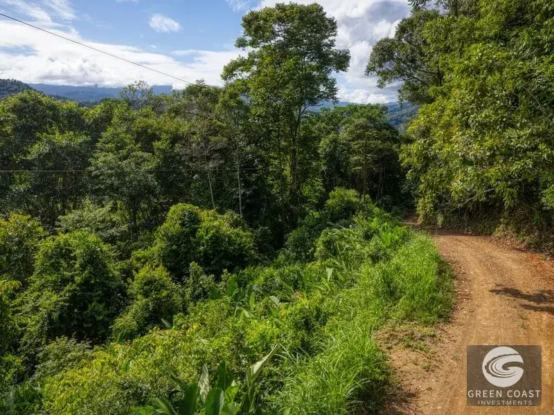 15-Acre Lagunas Estate: 7 Subdivided Lots with Waterfalls, Valley Views, and Fruit Orchards Near Dominical — view 8, Dominical, Costa Rica