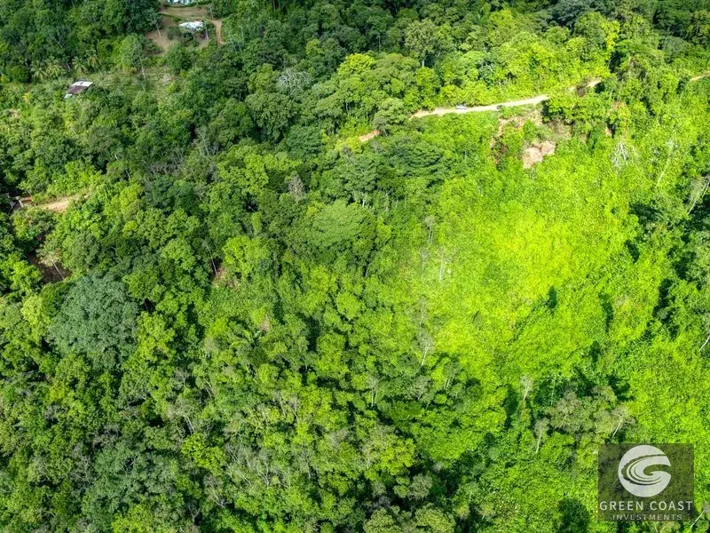 15-Acre Lagunas Estate: 7 Subdivided Lots with Waterfalls, Valley Views, and Fruit Orchards Near Dominical — view 11, Dominical, Costa Rica