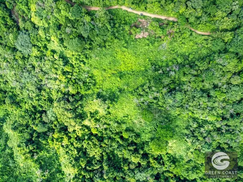 15-Acre Lagunas Estate: 7 Subdivided Lots with Waterfalls, Valley Views, and Fruit Orchards Near Dominical — view 12, Dominical, Costa Rica