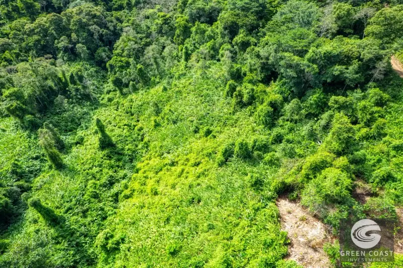 15-Acre Lagunas Estate: 7 Subdivided Lots with Waterfalls, Valley Views, and Fruit Orchards Near Dominical — view 24, Dominical, Costa Rica