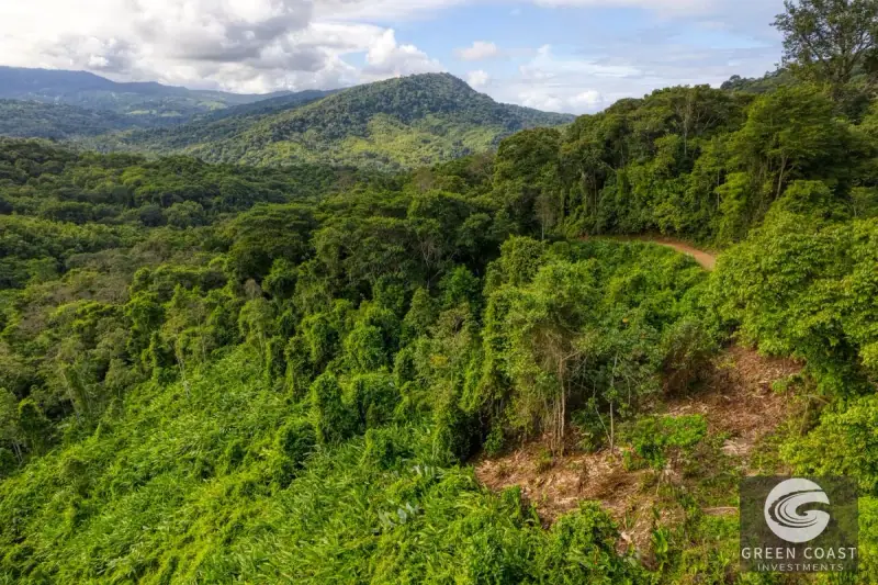 15-Acre Lagunas Estate: 7 Subdivided Lots with Waterfalls, Valley Views, and Fruit Orchards Near Dominical — view 25, Dominical, Costa Rica