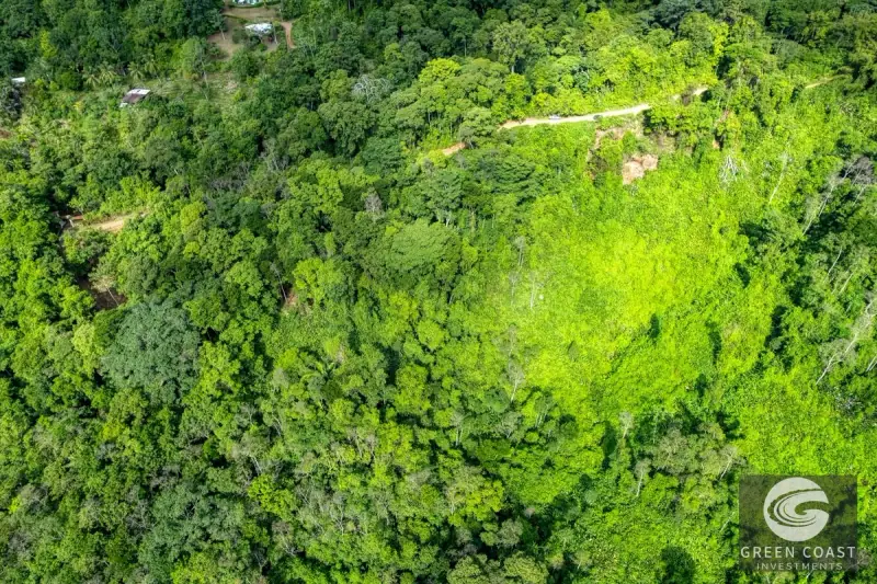 15-Acre Lagunas Estate: 7 Subdivided Lots with Waterfalls, Valley Views, and Fruit Orchards Near Dominical — view 29, Dominical, Costa Rica