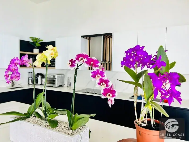 Modern Luxury Mountain-View Villa in Prestigious Monte la Cruz — view 10, Perez Zeledon, Costa Rica