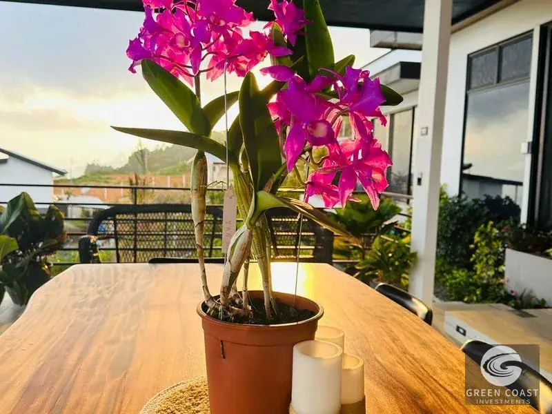 Modern Luxury Mountain-View Villa in Prestigious Monte la Cruz — view 29, Perez Zeledon, Costa Rica